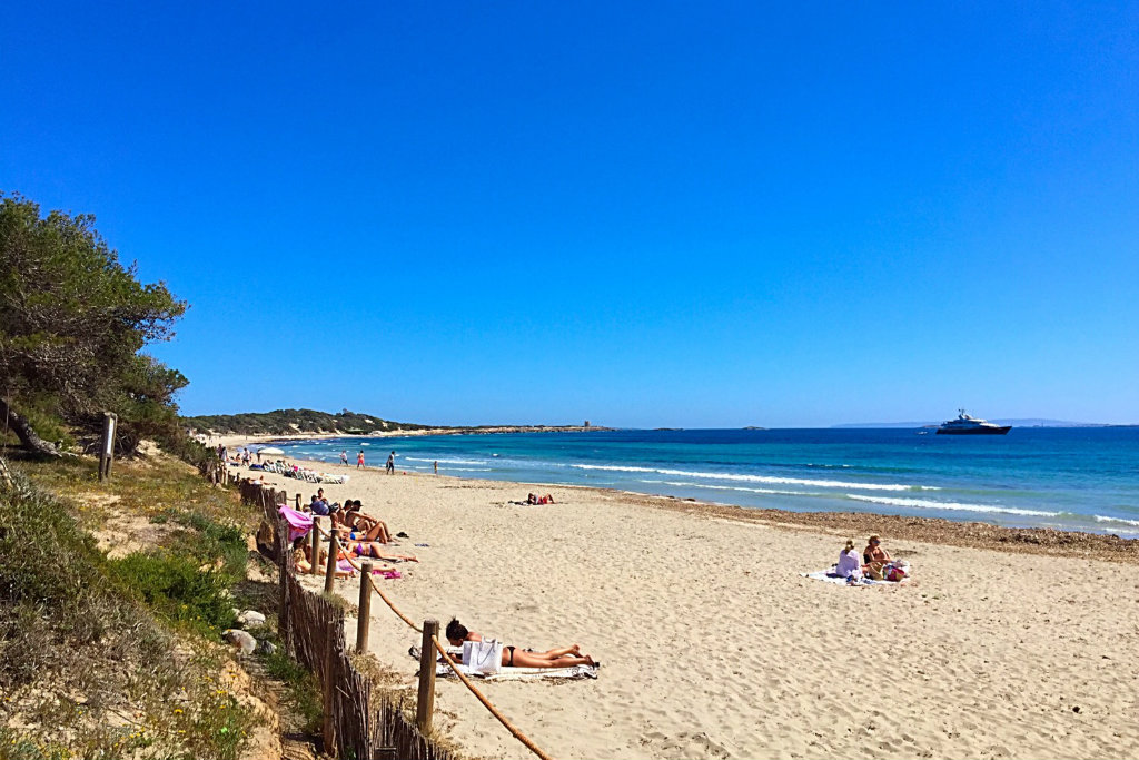 Las Salinas Ibiza | beach heaven, nature reserve & World Heritage Site